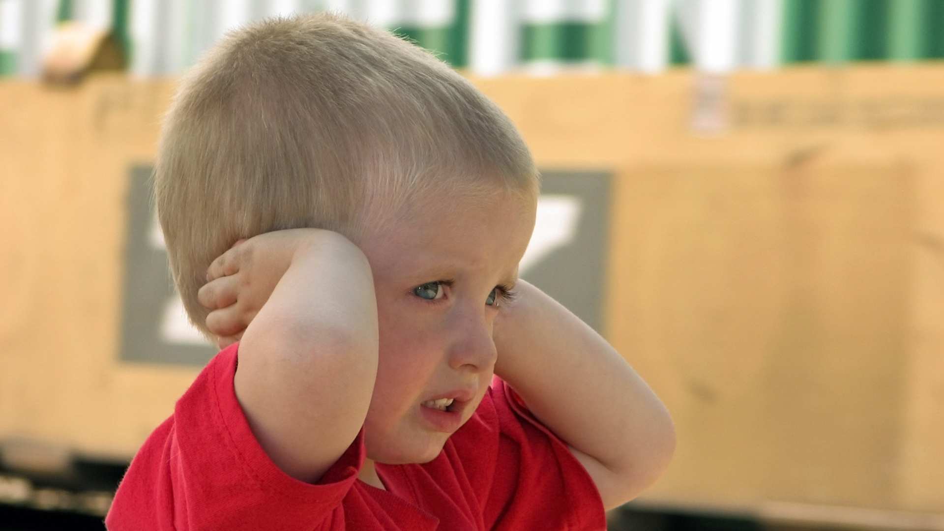 Toddler covering ears in a loud environment